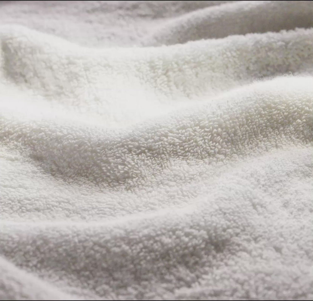 Plush Hand Towels (Pair)